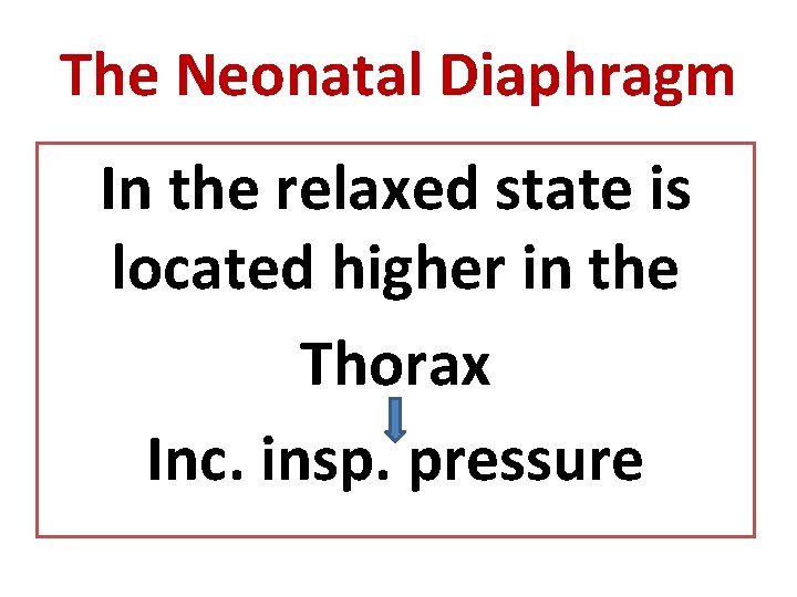 The Neonatal Diaphragm In the relaxed state is located higher in the Thorax Inc.