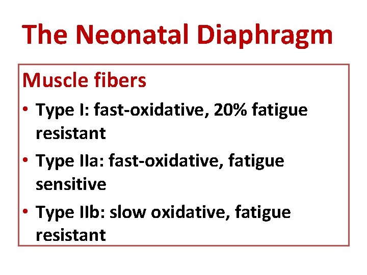 The Neonatal Diaphragm Muscle fibers • Type I: fast-oxidative, 20% fatigue resistant • Type