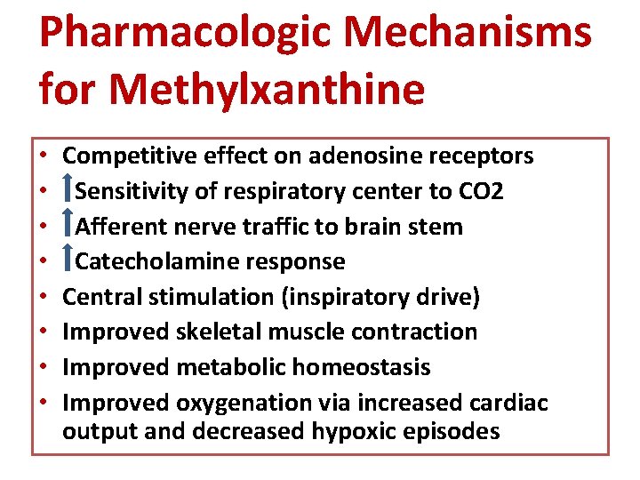 Pharmacologic Mechanisms for Methylxanthine • • Competitive effect on adenosine receptors Sensitivity of respiratory
