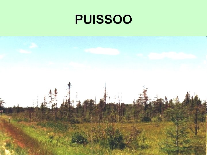 PUISSOO PUISSOO