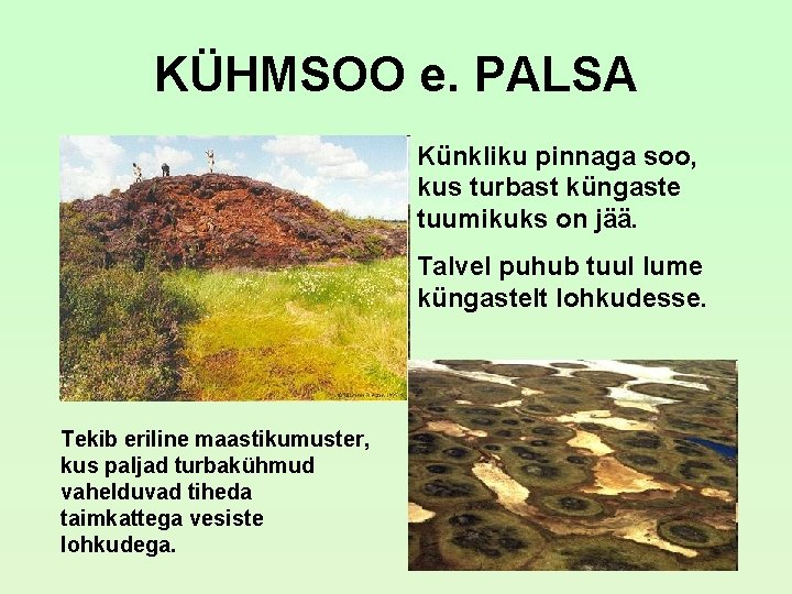 KÜHMSOO e. PALSA Künkliku pinnaga soo, kus turbast küngaste tuumikuks on jää. Talvel puhub KÜHMSOO e. PALSA Künkliku pinnaga soo, kus turbast küngaste tuumikuks on jää. Talvel puhub