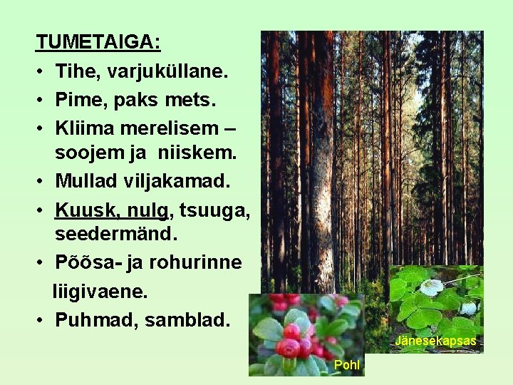 TUMETAIGA: • Tihe, varjuküllane. • Pime, paks mets. • Kliima merelisem – soojem ja TUMETAIGA: • Tihe, varjuküllane. • Pime, paks mets. • Kliima merelisem – soojem ja