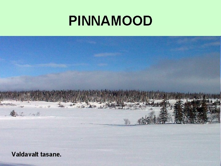 PINNAMOOD Valdavalt tasane. PINNAMOOD Valdavalt tasane.