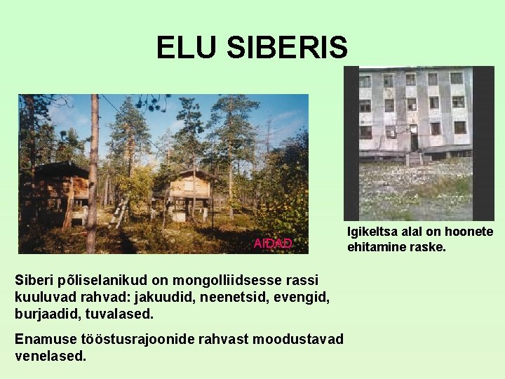 ELU SIBERIS AIDAD Siberi põliselanikud on mongolliidsesse rassi kuuluvad rahvad: jakuudid, neenetsid, evengid, burjaadid, ELU SIBERIS AIDAD Siberi põliselanikud on mongolliidsesse rassi kuuluvad rahvad: jakuudid, neenetsid, evengid, burjaadid,