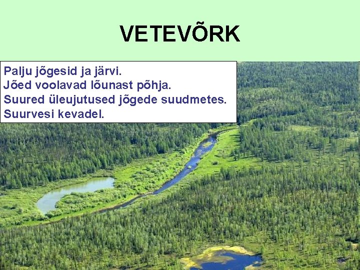 VETEVÕRK Palju jõgesid ja järvi. Jõed voolavad lõunast põhja. Suured üleujutused jõgede suudmetes. Suurvesi VETEVÕRK Palju jõgesid ja järvi. Jõed voolavad lõunast põhja. Suured üleujutused jõgede suudmetes. Suurvesi