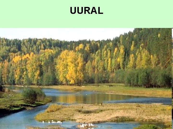 UURAL UURAL