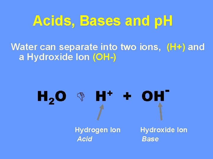 Acids, Bases and p. H Water can separate into two ions, (H+) and a Acids, Bases and p. H Water can separate into two ions, (H+) and a