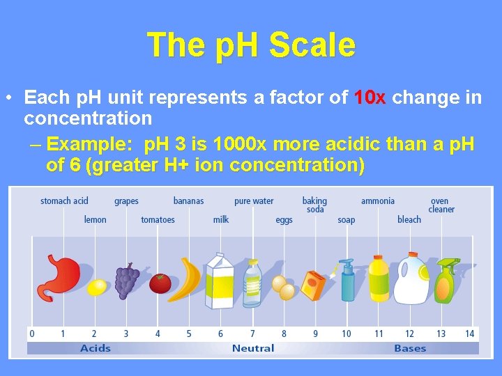 The p. H Scale • Each p. H unit represents a factor of 10 The p. H Scale • Each p. H unit represents a factor of 10