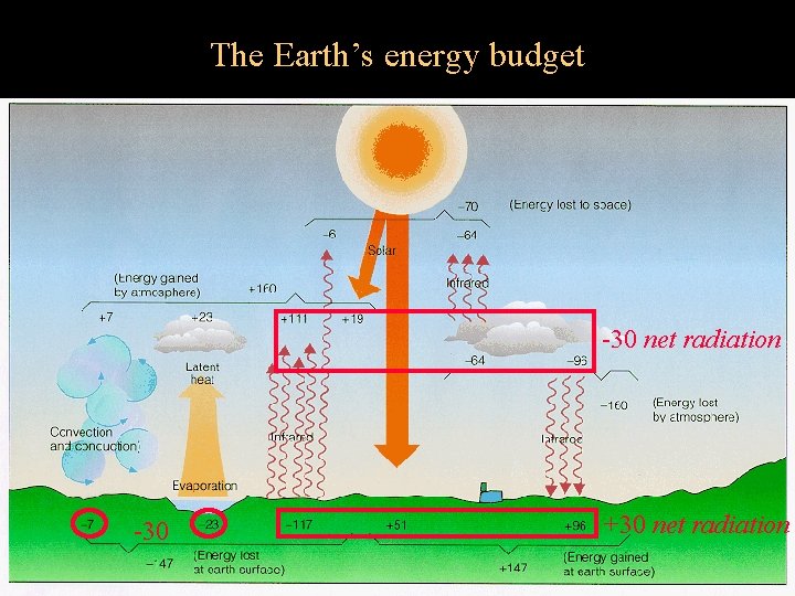 The Earth’s energy budget -30 net radiation -30 +30 net radiation 