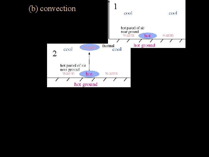 (b) convection 2 1 