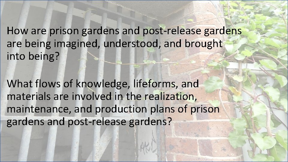 How are prison gardens and post-release gardens are being imagined, understood, and brought into