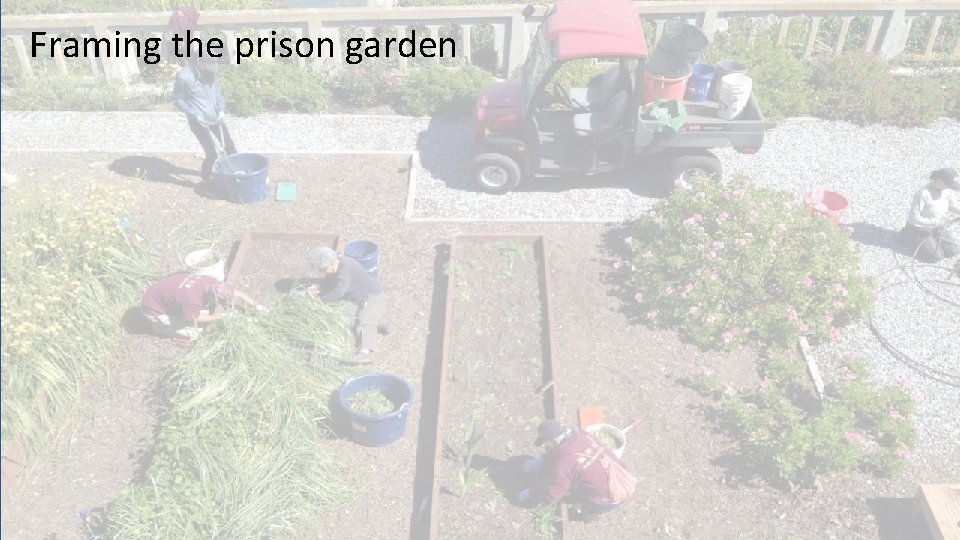 Framing the prison garden 