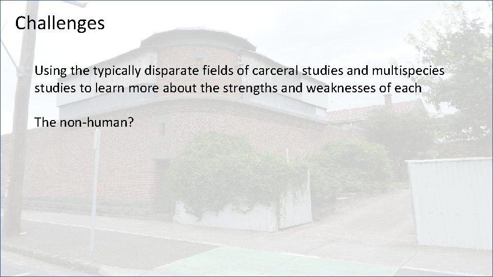 Challenges Using the typically disparate fields of carceral studies and multispecies studies to learn