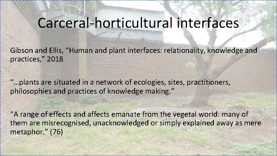 Carceral-horticultural interfaces Gibson and Ellis, “Human and plant interfaces: relationality, knowledge and practices, ”