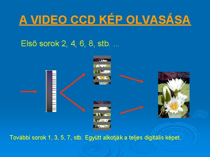 A VIDEO CCD KÉP OLVASÁSA Első sorok 2, 4, 6, 8, stb. . További