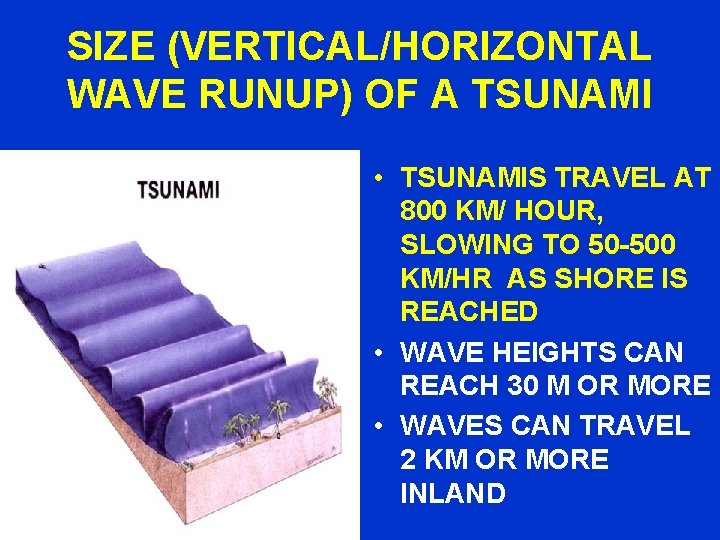 SIZE (VERTICAL/HORIZONTAL WAVE RUNUP) OF A TSUNAMI • TSUNAMIS TRAVEL AT 800 KM/ HOUR,