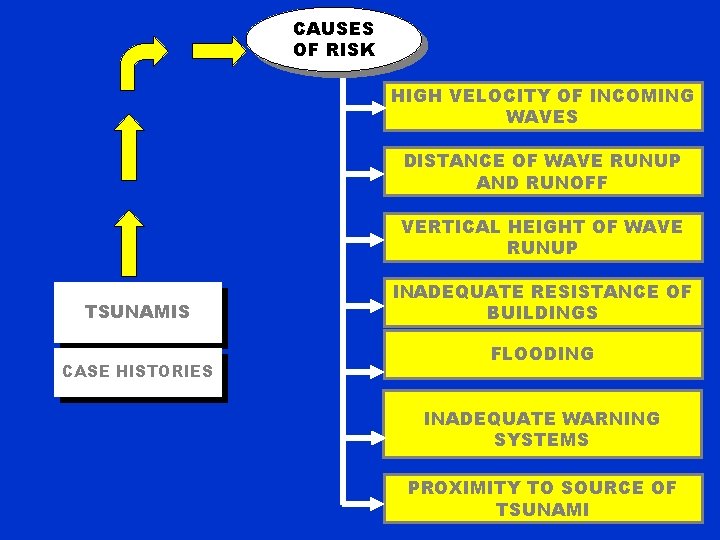 CAUSES OF RISK HIGH VELOCITY OF INCOMING WAVES DISTANCE OF WAVE RUNUP AND RUNOFF