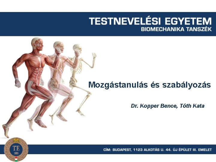 Mozgástanulás és szabályozás Dr. Kopper Bence, Tóth Kata 