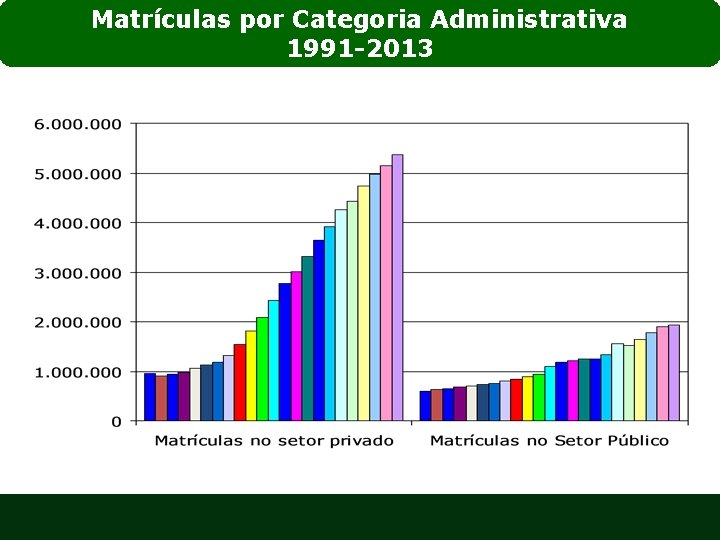 Matrículas por Categoria Administrativa 1991 -2013 