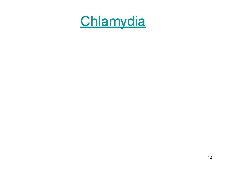 Chlamydia 14 Chlamydia 14