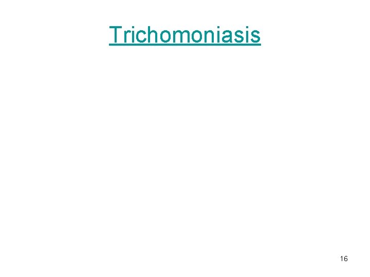 Trichomoniasis 16 Trichomoniasis 16