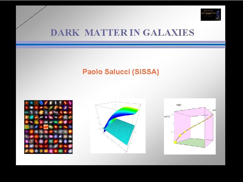 DARK MATTER IN GALAXIES Paolo Salucci (SISSA) 