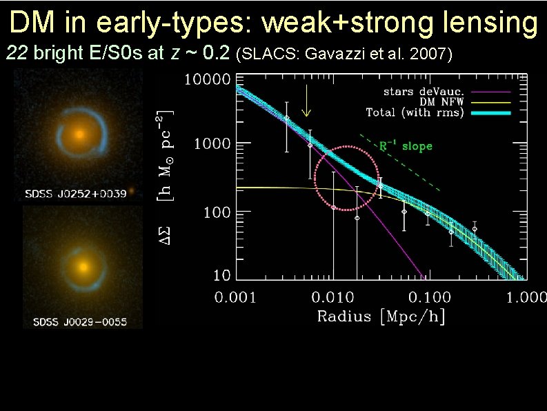 DM in early-types: weak+strong lensing 22 bright E/S 0 s at z ~ 0.