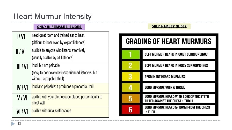 Heart Murmur Intensity ONLY IN FEMALES' SLIDES 13 ONLY IN MALES’ SLIDES 