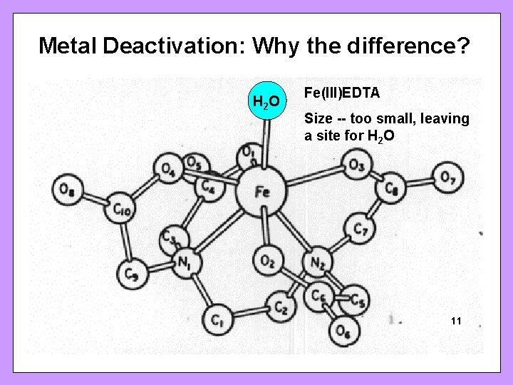 Metal Deactivation: Why the difference? H 2 O SFRBM Sunrise Free Radical School Fe(III)EDTA