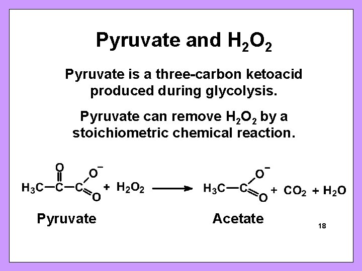 Pyruvate and H 2 O 2 Pyruvate is a three-carbon ketoacid produced during glycolysis.