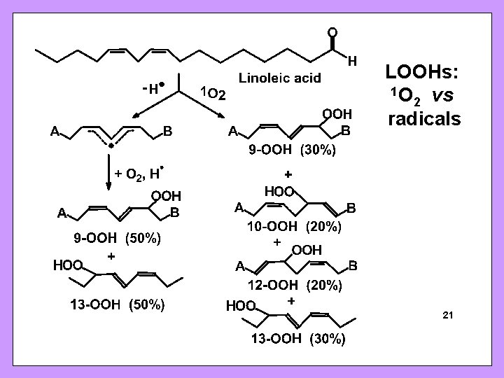 LOOHs: 1 O vs 2 radicals SFRBM Sunrise Free Radical School 21 