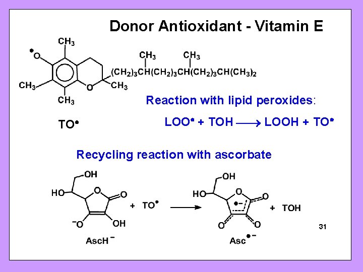Donor Antioxidant - Vitamin E Reaction with lipid peroxides: TO LOO + TOH LOOH