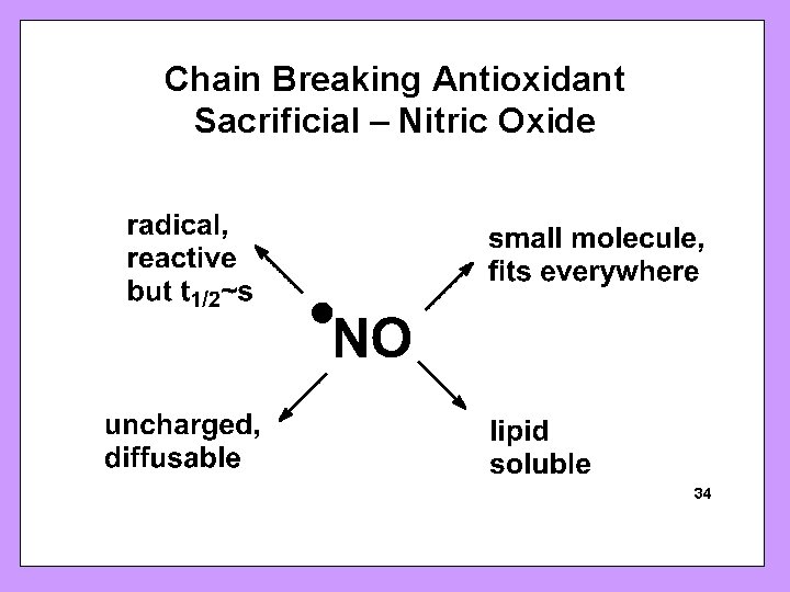 Chain Breaking Antioxidant Sacrificial – Nitric Oxide SFRBM Sunrise Free Radical School 34 