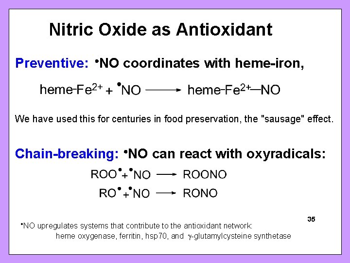 Nitric Oxide as Antioxidant Preventive: NO coordinates with heme-iron, We have used this for