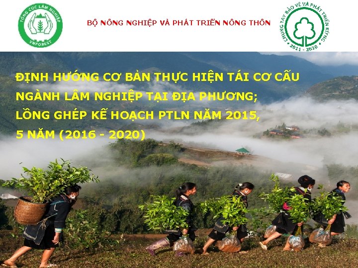 BỘ NÔNG NGHIỆP VÀ PHÁT TRIỂN NÔNG THÔN ĐỊNH HƯỚNG CƠ BẢN THỰC HIỆN