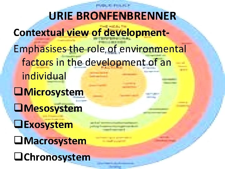 URIE BRONFENBRENNER Contextual view of development. Emphasises the role of environmental factors in the