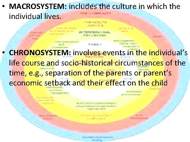  • MACROSYSTEM: includes the culture in which the individual lives. • CHRONOSYSTEM: involves