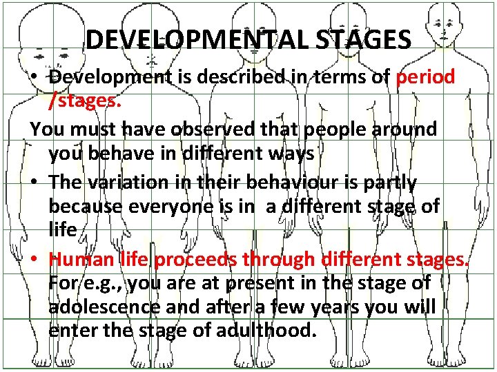DEVELOPMENTAL STAGES • Development is described in terms of period /stages. You must have