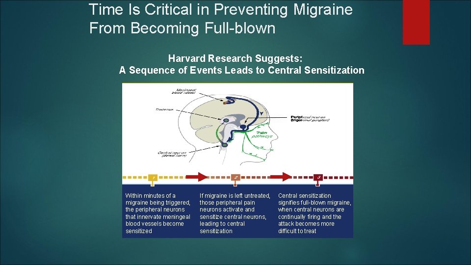 Time Is Critical in Preventing Migraine From Becoming Full-blown Harvard Research Suggests: A Sequence Time Is Critical in Preventing Migraine From Becoming Full-blown Harvard Research Suggests: A Sequence