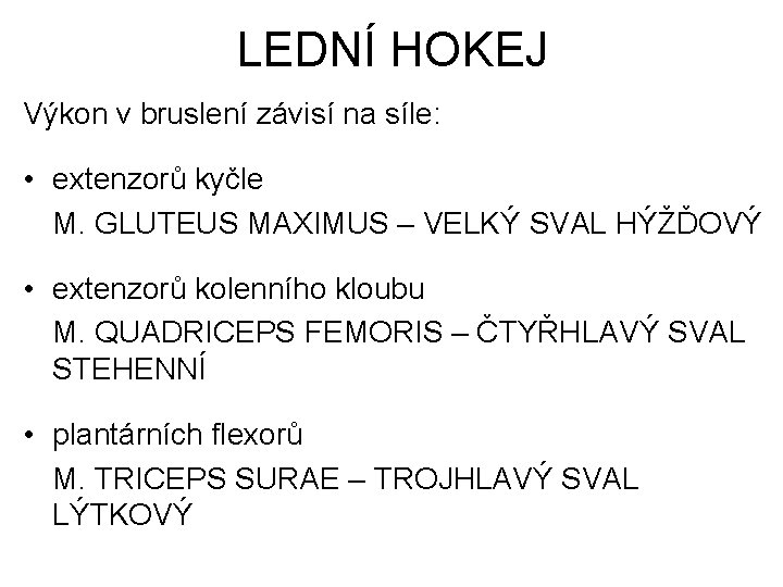 LEDNÍ HOKEJ Výkon v bruslení závisí na síle: • extenzorů kyčle M. GLUTEUS MAXIMUS