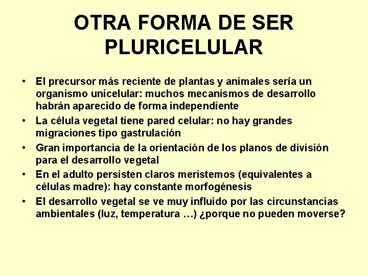 OTRA FORMA DE SER PLURICELULAR • El precursor más reciente de plantas y animales