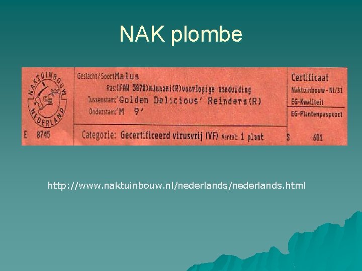 NAK plombe http: //www. naktuinbouw. nl/nederlands. html 