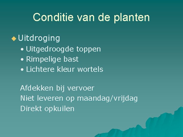 Conditie van de planten u Uitdroging • Uitgedroogde toppen • Rimpelige bast • Lichtere