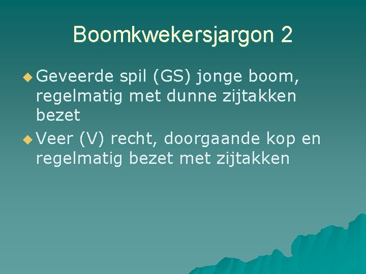 Boomkwekersjargon 2 u Geveerde spil (GS) jonge boom, regelmatig met dunne zijtakken bezet u