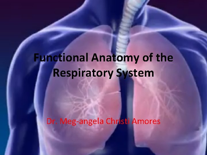 Functional Anatomy of the Respiratory System Dr. Meg-angela Christi Amores 