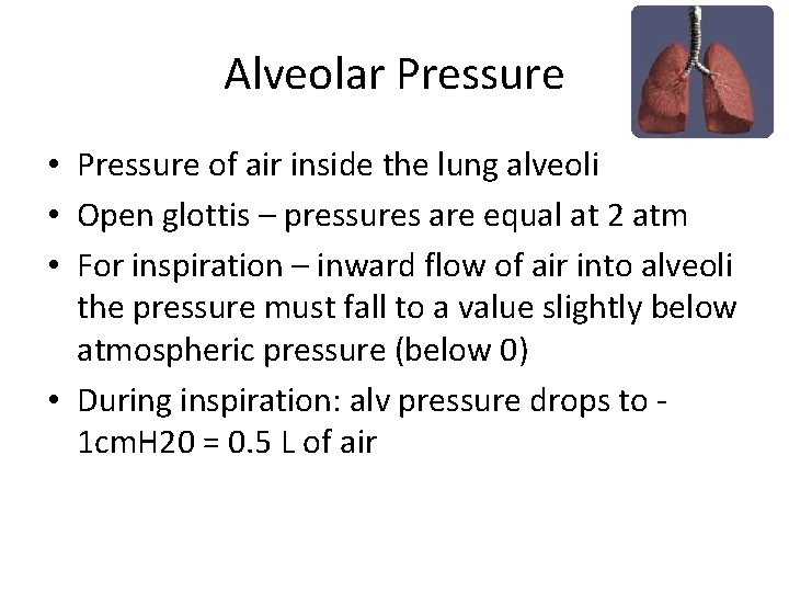 Alveolar Pressure • Pressure of air inside the lung alveoli • Open glottis –