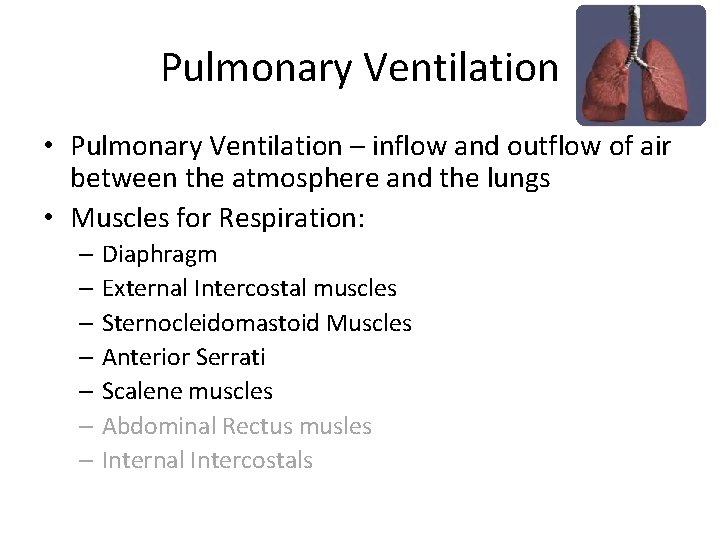 Pulmonary Ventilation • Pulmonary Ventilation – inflow and outflow of air between the atmosphere