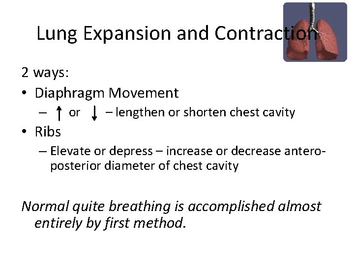 Lung Expansion and Contraction 2 ways: • Diaphragm Movement – or – lengthen or