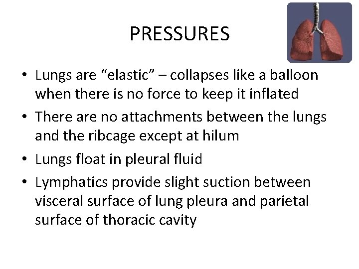 PRESSURES • Lungs are “elastic” – collapses like a balloon when there is no