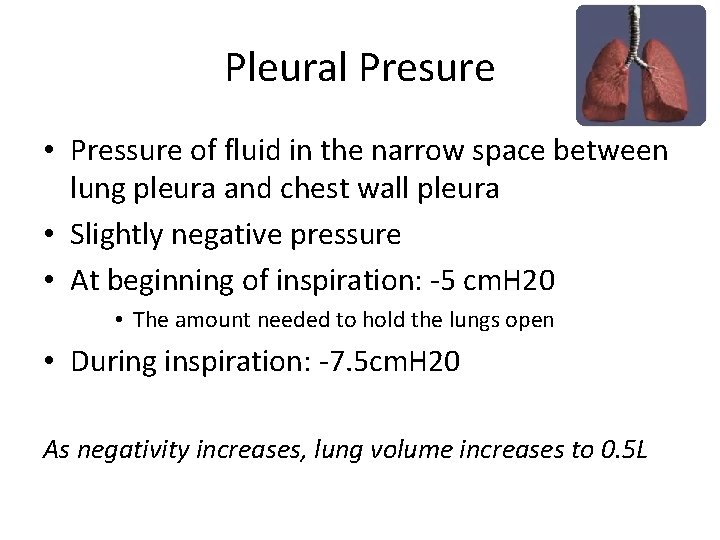 Pleural Presure • Pressure of fluid in the narrow space between lung pleura and
